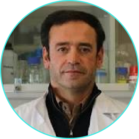 Flávio Reis Biomedical Sciences